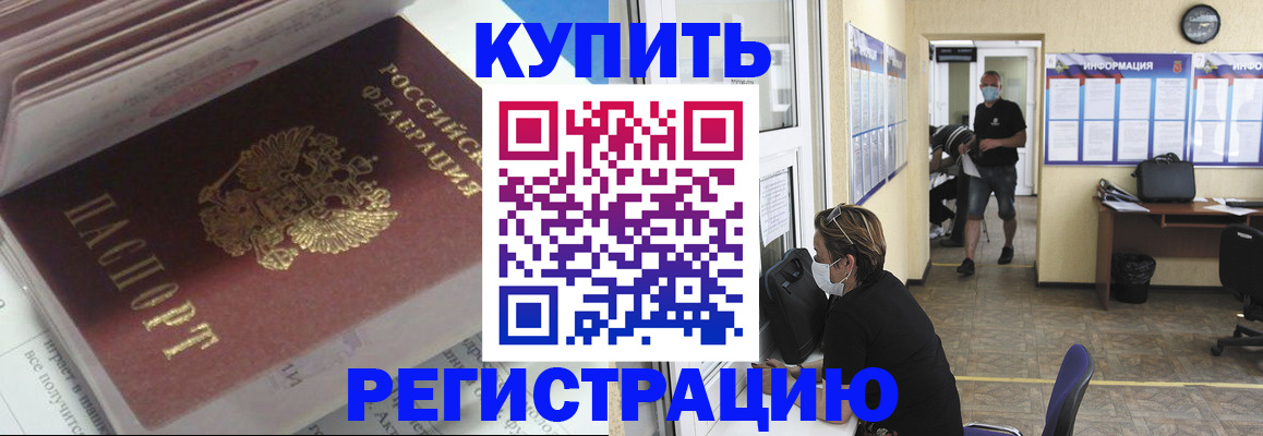 прописка гарантия в Светлогорске